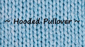 hooded pullover featured